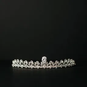 Emily's Tiara