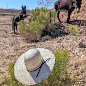 Rami Straw Hat the "Open Crown" by Rodeo King