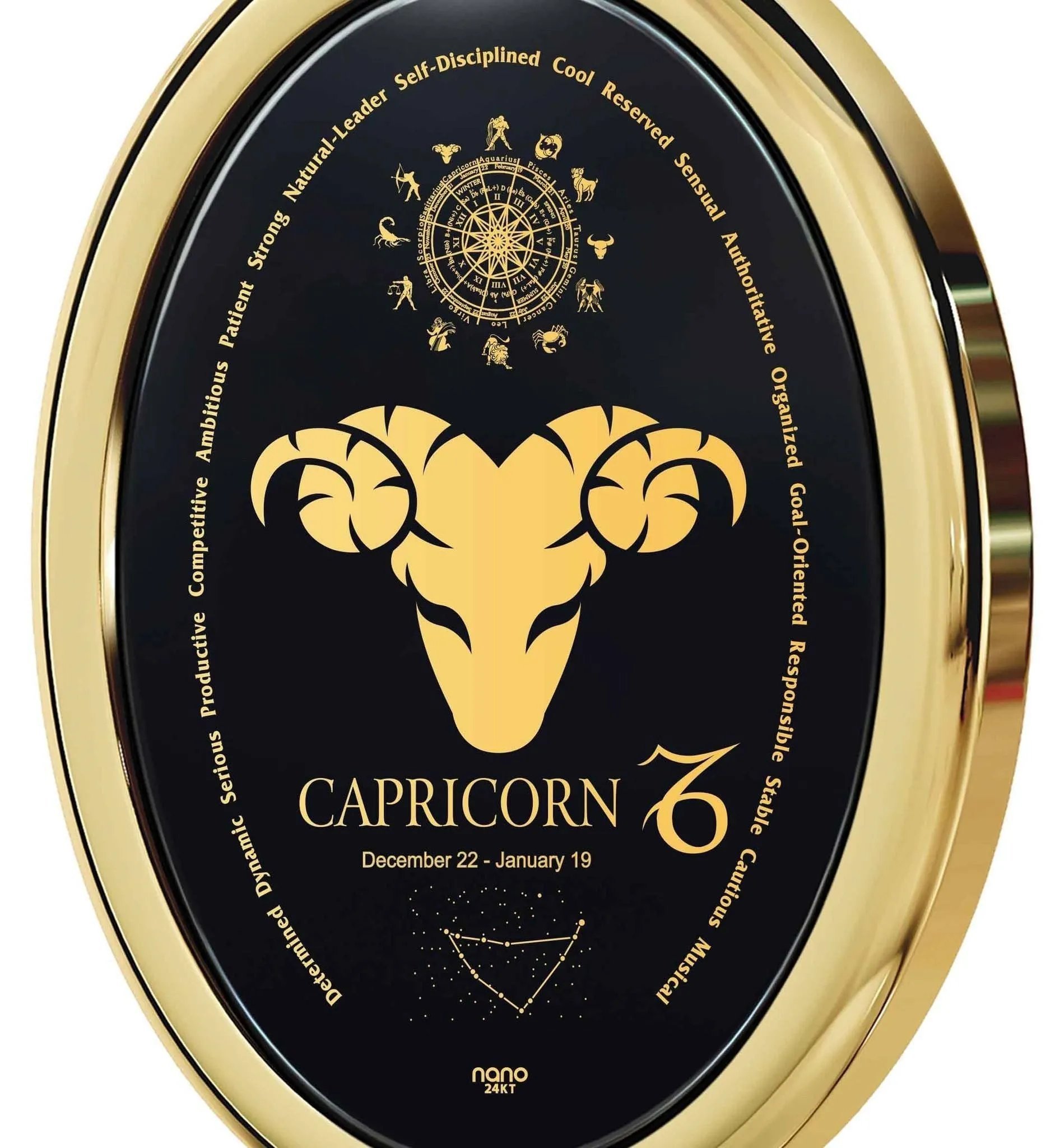 The World of Capricorn, 14k Gold Necklace, Onyx